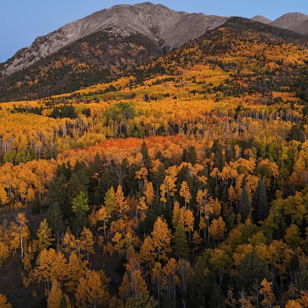 Aspen Travel Guide: How to Reach, Best Time & Top Things to Do